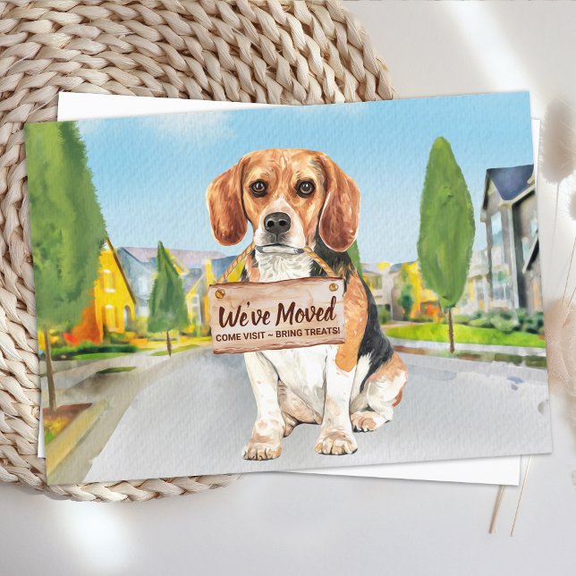 Anuncio Beagle hemos movido nueva dirección Traslado de pe (Subido por el creador)