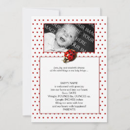 Anuncio Bicho de cola en puntos de polka rojo envuelve a l