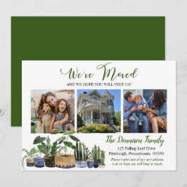 Anuncio Boho Houseplant hemos trasladado la foto