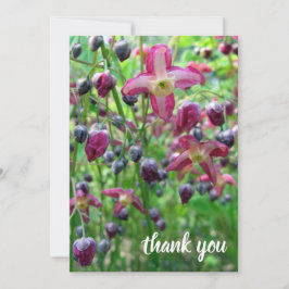 Anuncio Bonitos Flores y barras de fotos Graduación Gracia