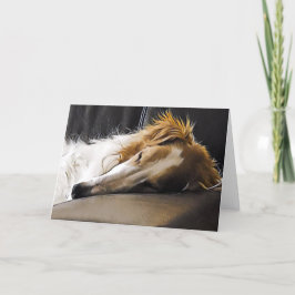 Anuncio Borzoi en Slumber