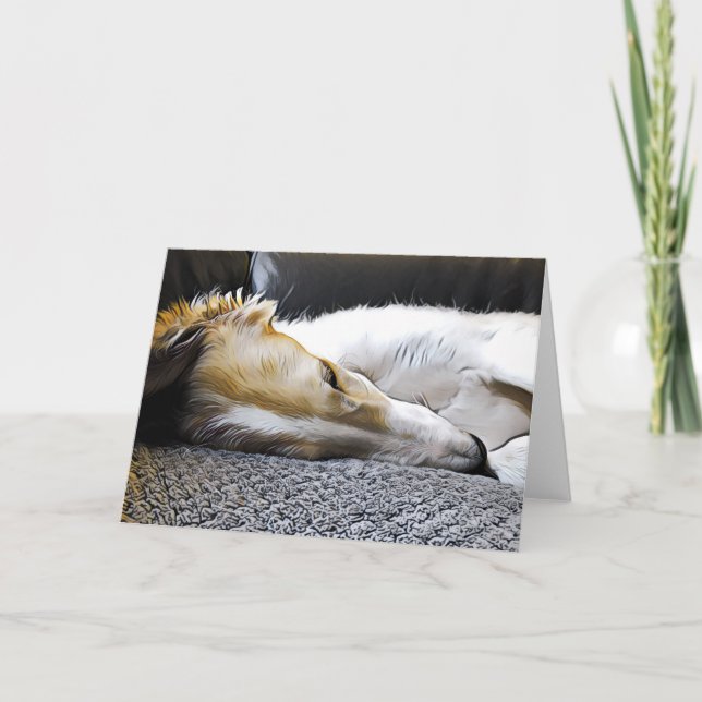 Anuncio Borzoi nocturno (Anverso)