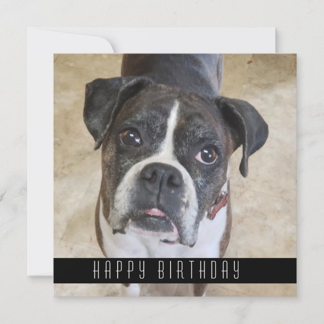 Anuncio Boxer Happy Birday From Dog Birday Card (Anverso)
