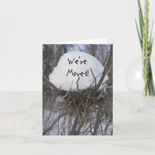 Anuncio Cambio de dirección de nido de aves de invierno (Anverso)