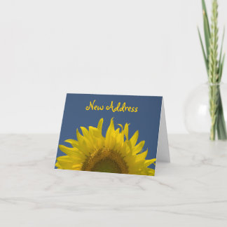 Anuncio Cambio de dirección de Sunflower Rising