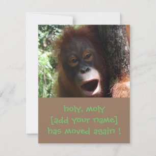 Anuncio Cambio de dirección en orangután