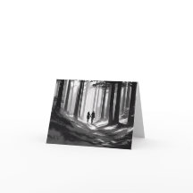 Caminata romántica en bosque negro y blanco