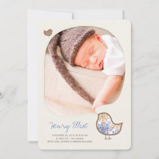 Anuncio Caprichoso Azul Damask Pollito Niño Foto Nacimient