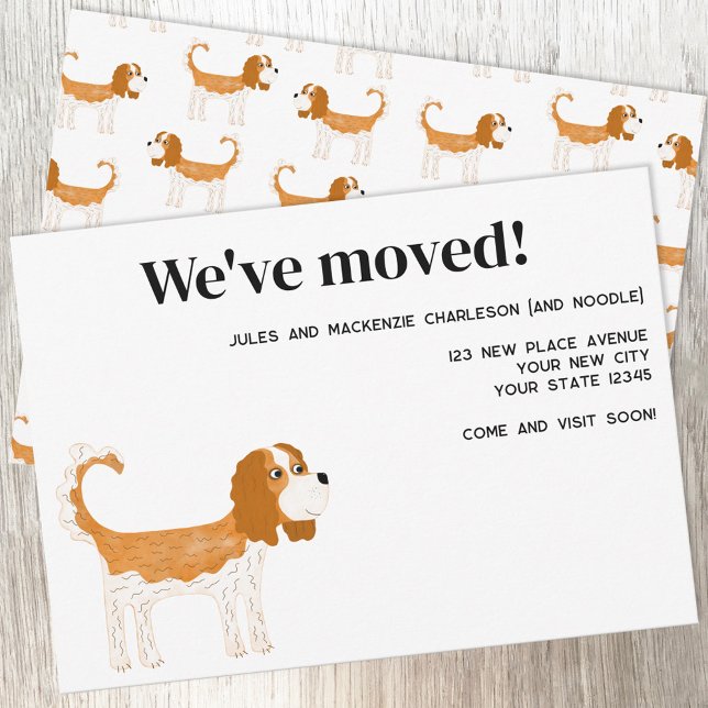 Anuncio Cavalier King Charles Spaniel Perro mudándose nuev (Cavalier King Charles Spaniel Dog Blenheim moving announcement new home change of address card)