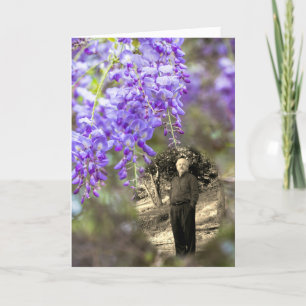 Anuncio Celebración de la glicinia de la vida