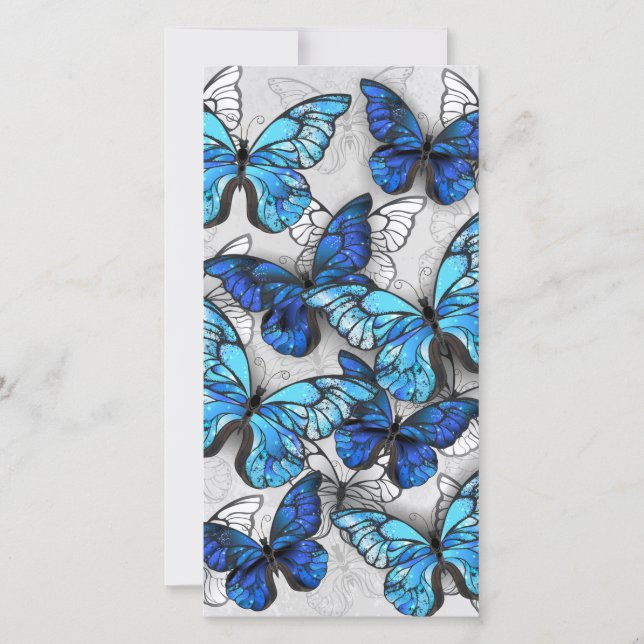 Anuncio Composición de mariposas blancas y azules (Anverso)