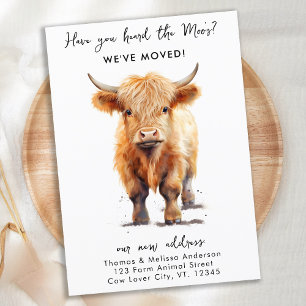Anuncio Cow Hemos cambiado nueva dirección Highland Calf M