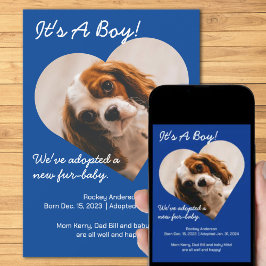 Anuncio Cuidada Nueva Cachorra