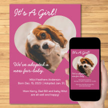 Cuidada Nueva Cachorra