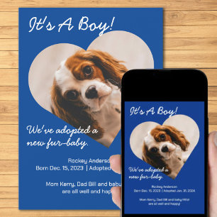 Anuncio Cuidada Nueva Cachorra