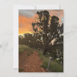 Anuncio Cunnamulla Evending Travel Greetings Card