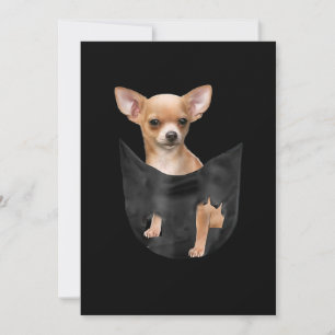 Anuncio Cute Chihuahua En Tu Bolsillo Navidades