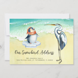 Anuncio Cute Penguin Blue Heron Beach Snowbird