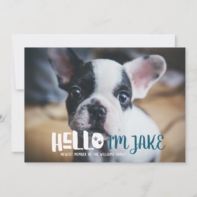 Anuncio de adopción de nueva mascota | Hola (Anverso)