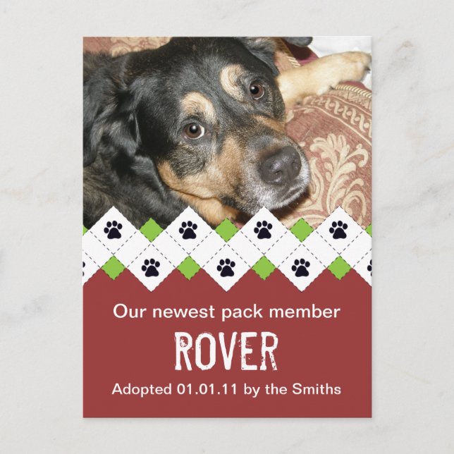 Anuncio de adopción de perro/cachorro (Anverso)