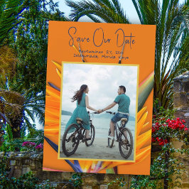 Anuncio de Aviso de Fecha de Ahorro del Pájaro de 