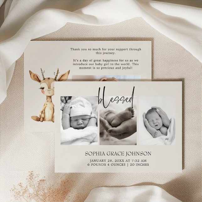 Anuncio de bebé con animales de guardería de peluc (Subido por el creador)