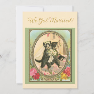 Anuncio de boda con tema de gato marfil y verde