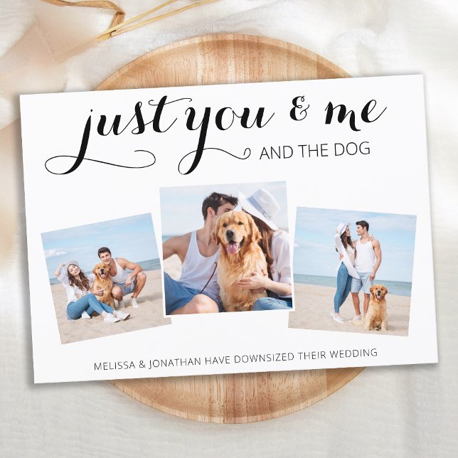 Anuncio de Boda de Perro Micro Boda Reducida (Subido por el creador)