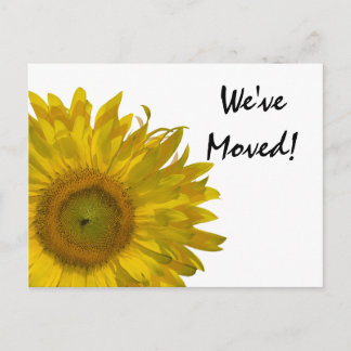 Anuncio de Cambio de Dirección de Girasol Amarillo