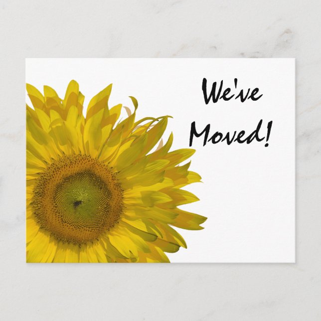 Anuncio de Cambio de Dirección de Girasol Amarillo (Anverso)