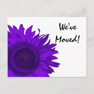 Anuncio de cambio de dirección de girasol morado