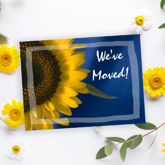 Anuncio de cambio de dirección de girasol sobre az