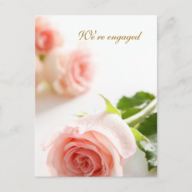 Anuncio de compromiso de rosa rosa blanca (Anverso)