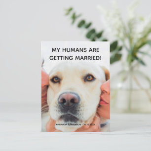 Anuncio de compromiso Foto personalizada de perro 