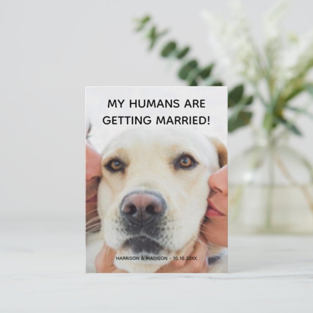 Anuncio de compromiso Foto personalizada de perro  (Anverso de pie)