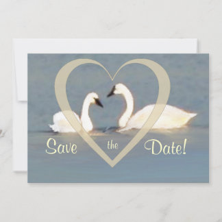 Anuncio de Elegantes Cisnes para Guardar la Fecha