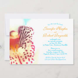 Anuncio de Elopement en la Playa Nos Casamos