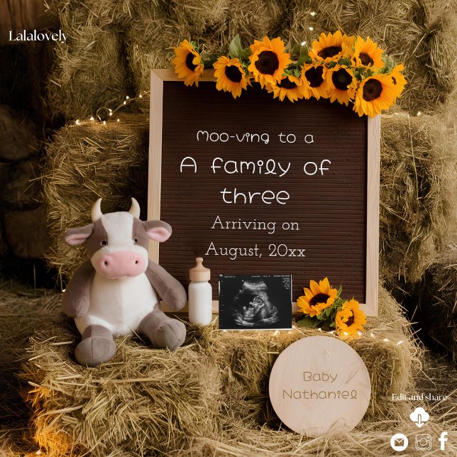 Anuncio de embarazo con estilo campestre adorable  (Subido por el creador)