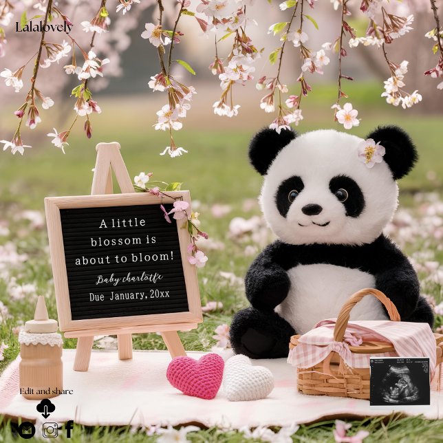 anuncio de embarazo de panda dulce y flor de cerez (Subido por el creador)