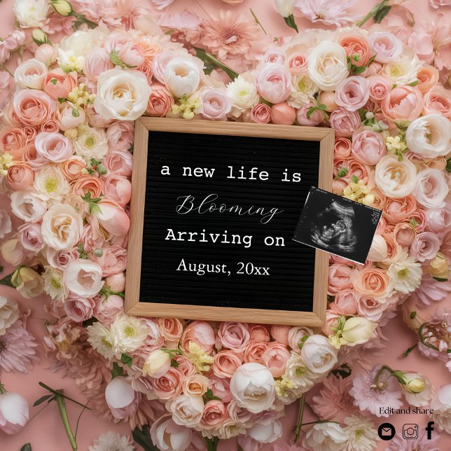 Anuncio de embarazo Revelación de bebé Pastel Flor (Subido por el creador)