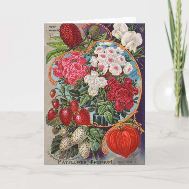 Anuncio de época para los paquetes de semillas, (Anverso)