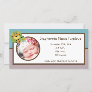 Anuncio de foto 4x8 Relatos de la jungla Safari