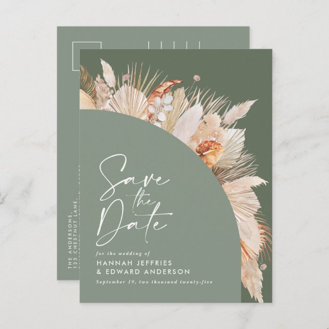 Anuncio de foto de hierba de Pampas verde grisáceo (Anverso / Reverso)