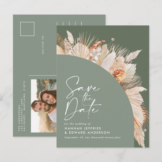 Anuncio de foto de hierba de Pampas verde grisáceo (Anverso / Reverso)