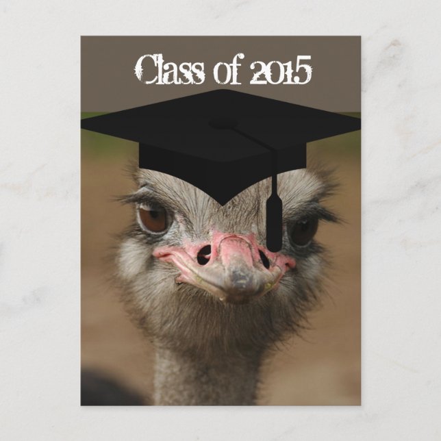 Anuncio de Graduación (Anverso)