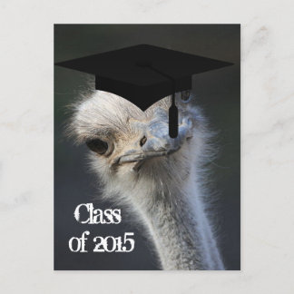 Anuncio de Graduación