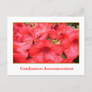 Anuncio de graduación con flores de azalea rojas