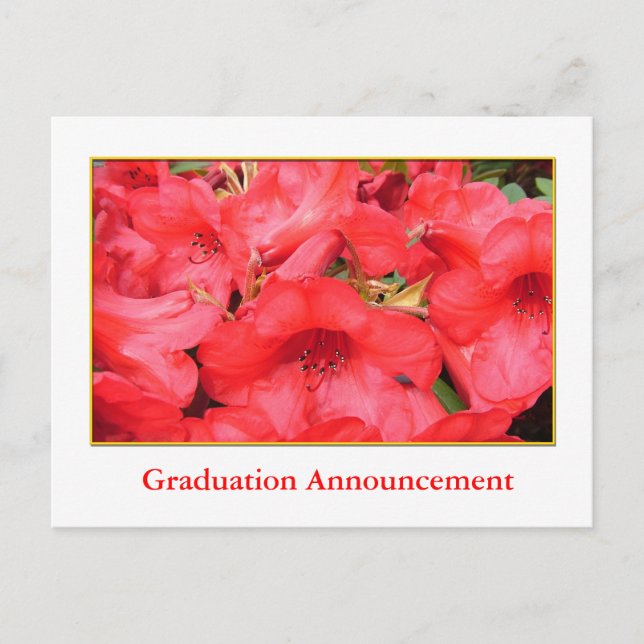 Anuncio de graduación con flores de azalea rojas (Anverso)