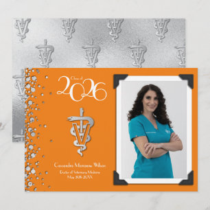 Anuncio de graduación de veterinaria naranja plate