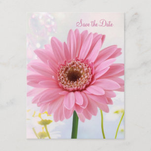 Anuncio de guardar la fecha - Gerbera rosa